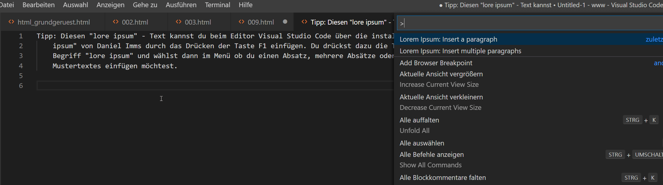 Lore Ipsum beim Editor Visual Studio Code einfügen